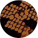 Load image into Gallery viewer, Elastic Foil Holographic Heat Transfer Vinyl (Elastic Halo HTV)
