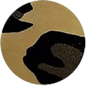 Load image into Gallery viewer, Elastic Foil Holographic Heat Transfer Vinyl (Elastic Halo HTV)
