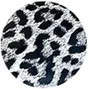 Load image into Gallery viewer, Elastic Foil Holographic Heat Transfer Vinyl (Elastic Halo HTV)
